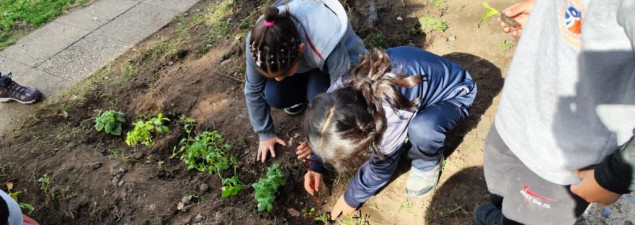 TDG El Bosque celebra el Mes del Medioambiente inaugurando su huerta comunitaria