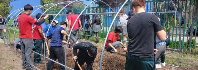 Electivo de Biología del CS Emprendedores crea huerto escolar sembrando especies nativas y locales