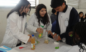 Muestra anual de ciencias - TDG Lo Prado